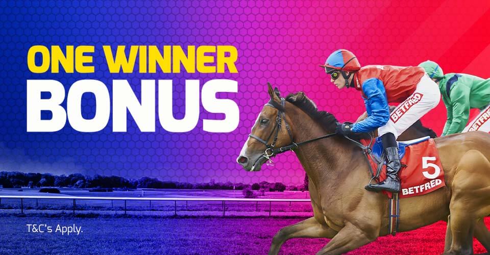 best bookmaker for lucky 15